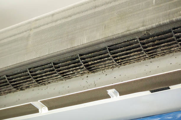 Best Air Duct Cleaning Near Me  in Wrightsboro, NC